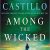 Linda Castillo – Among the Wicked Audiobook