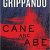 James Grippando – Cane and Abe Audiobook
