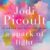 Jodi Picoult – A Spark of Light Audiobook